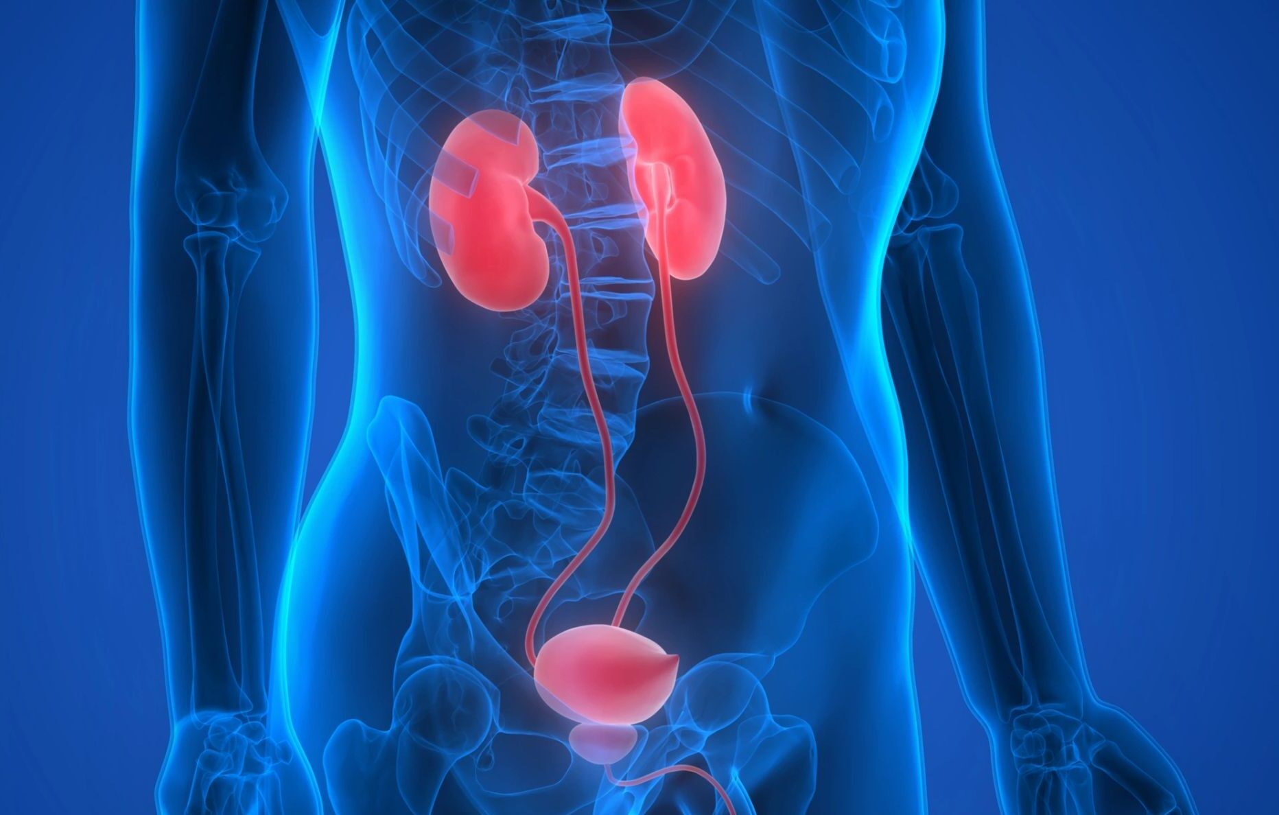 Urology Clinical Trials